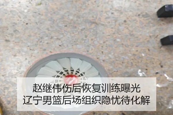 赵继伟伤后恢复训练曝光 辽宁男篮后场组织隐忧待化解